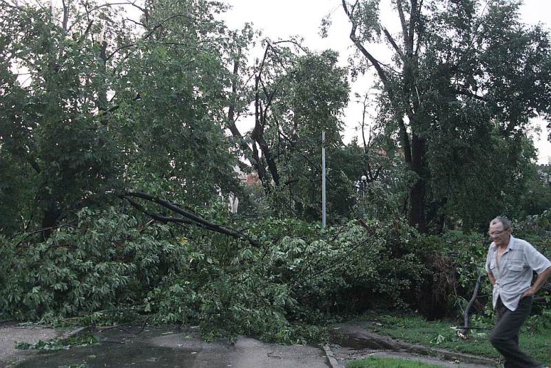 Tropikalna nawałnica w Legnicy