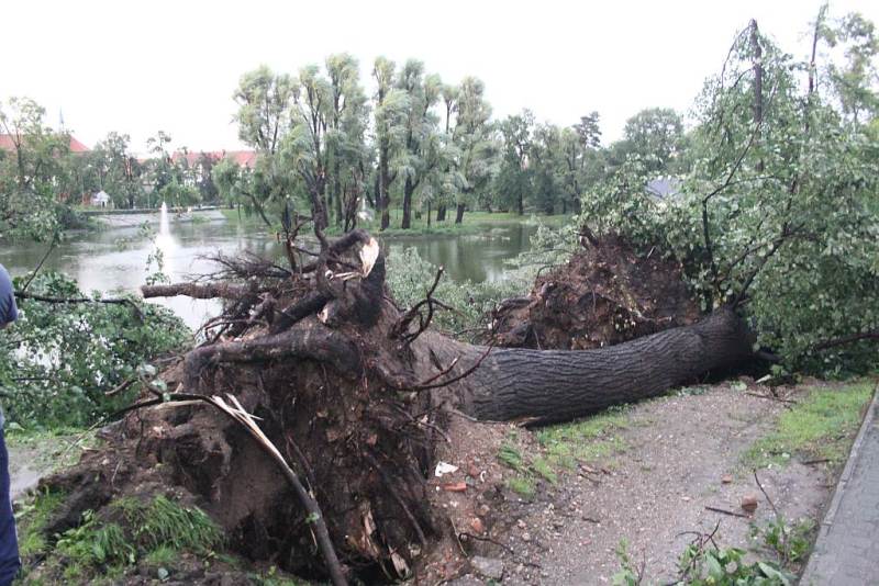 Tropikalna nawałnica w Legnicy