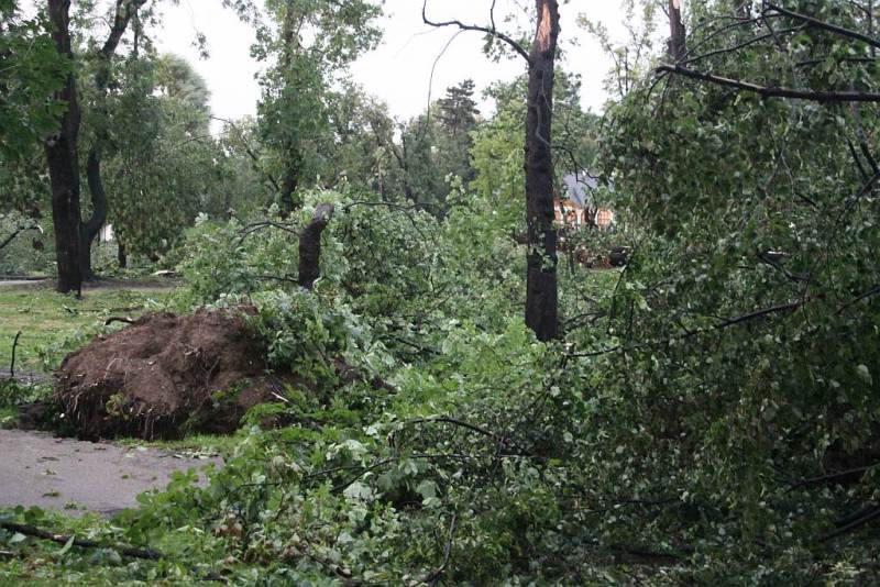 Tropikalna nawałnica w Legnicy