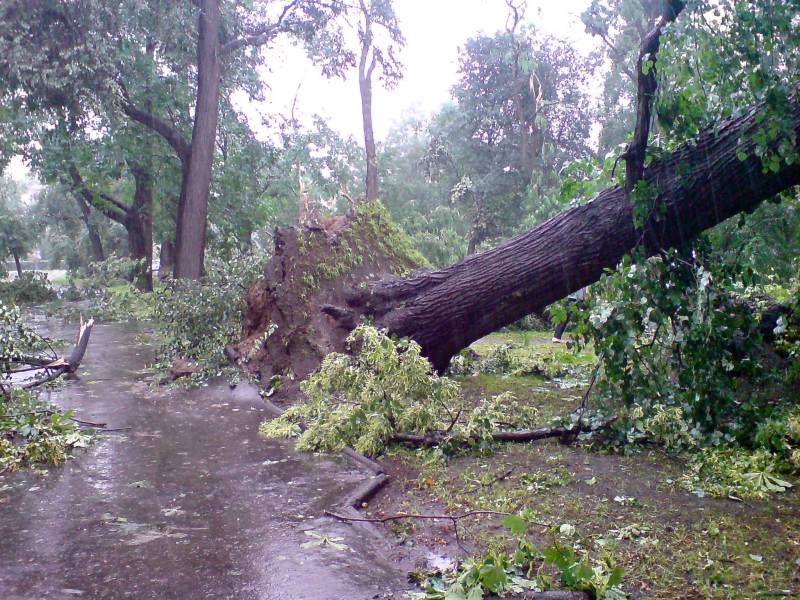 Nawałnica
