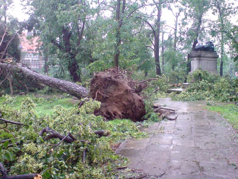 Nawałnica