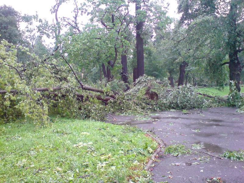Nawałnica