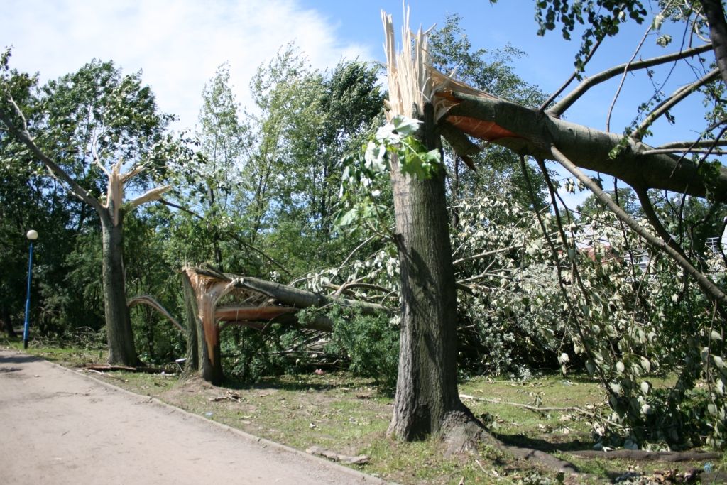 Tydzień po nawałnicy