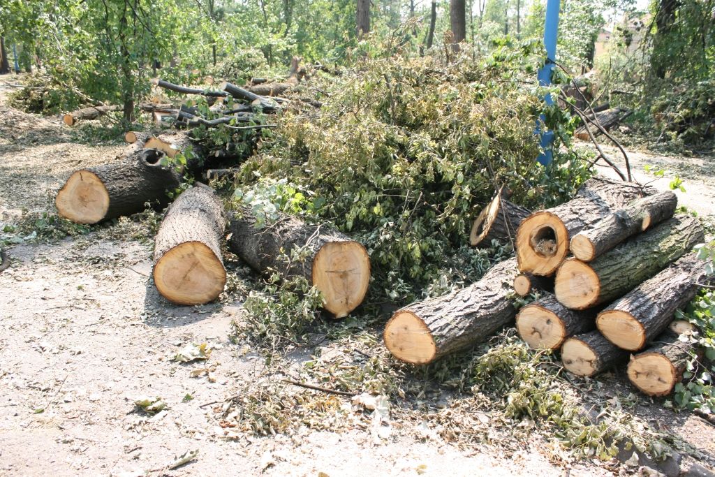Tydzień po nawałnicy