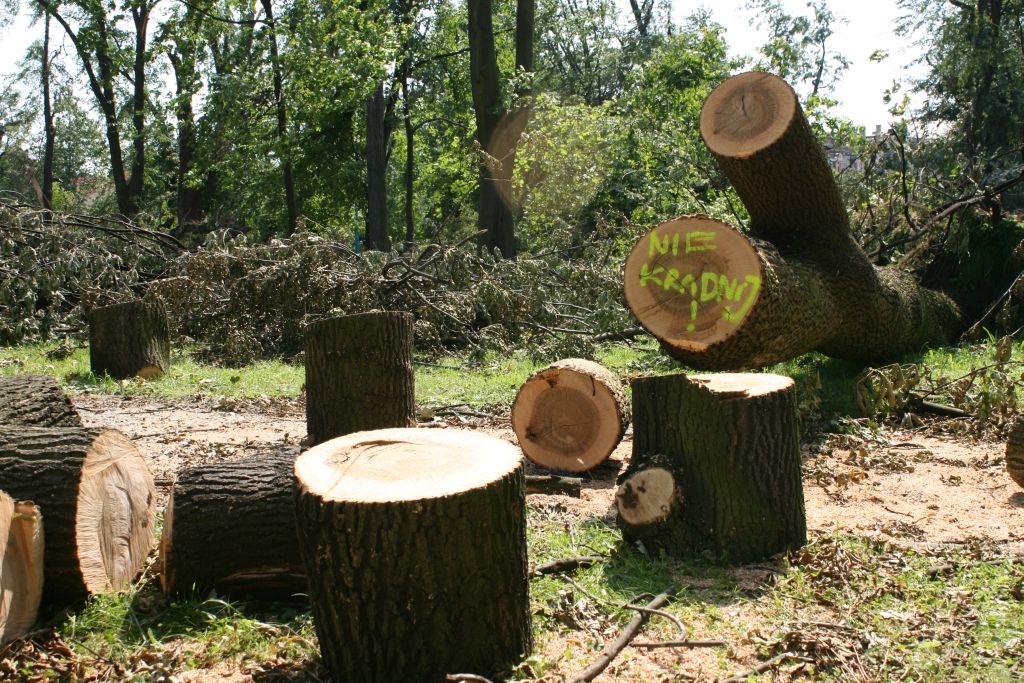 Tydzień po nawałnicy