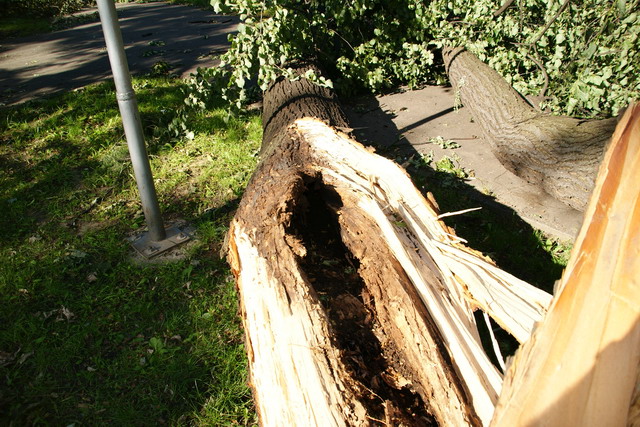 Legnica po burzy