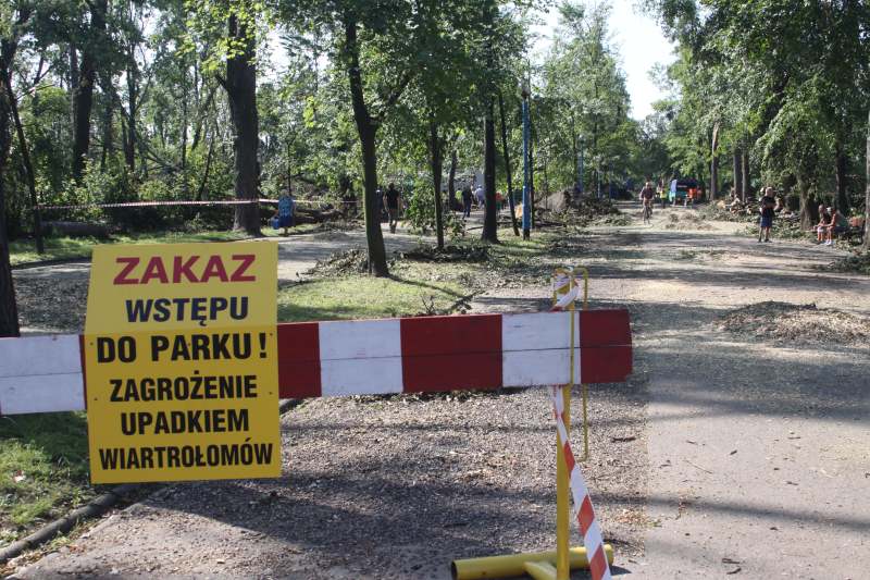 Pospolite ruszenie w legnickim parku