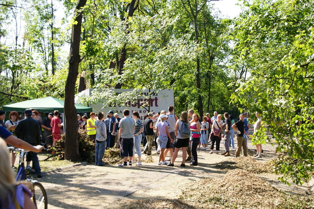 Czyn społeczny w Parku