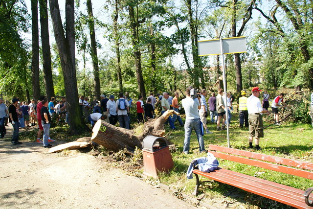 Czyn społeczny w Parku