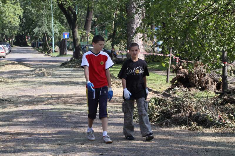 Pospolite ruszenie w legnickim parku