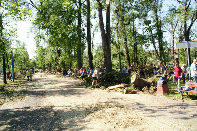 Czyn społeczny w Parku