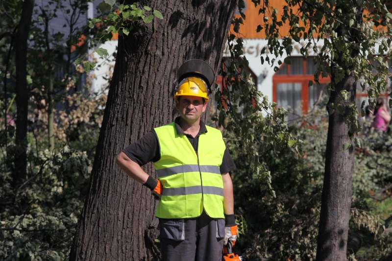 Pospolite ruszenie w legnickim parku