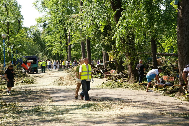 Czyn społeczny w Parku