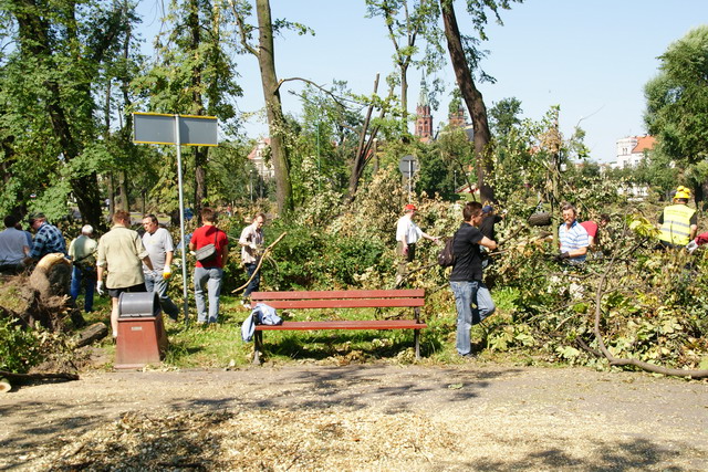 Czyn społeczny w Parku