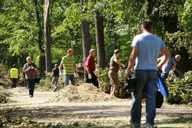 Czyn społeczny w Parku
