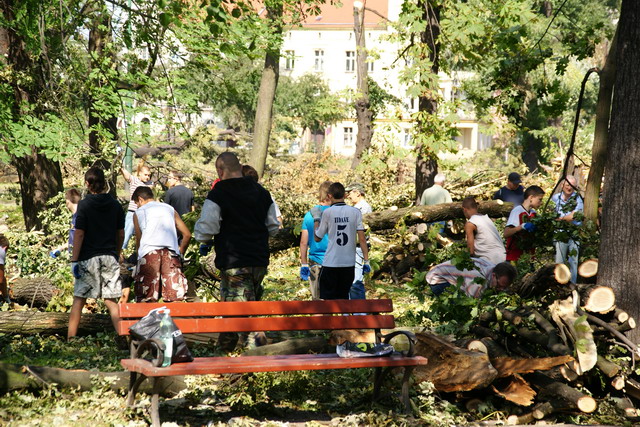 Czyn społeczny w Parku