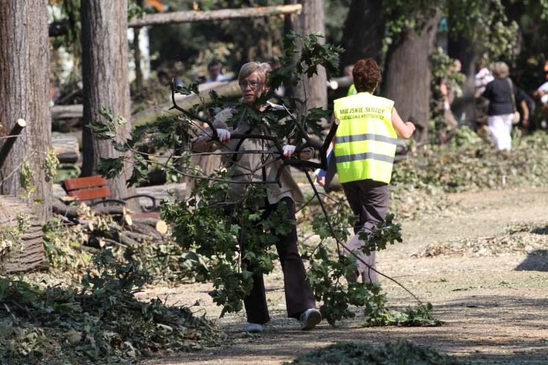 Pospolite ruszenie w legnickim parku