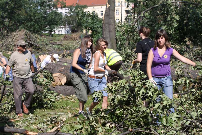 Pospolite ruszenie w legnickim parku