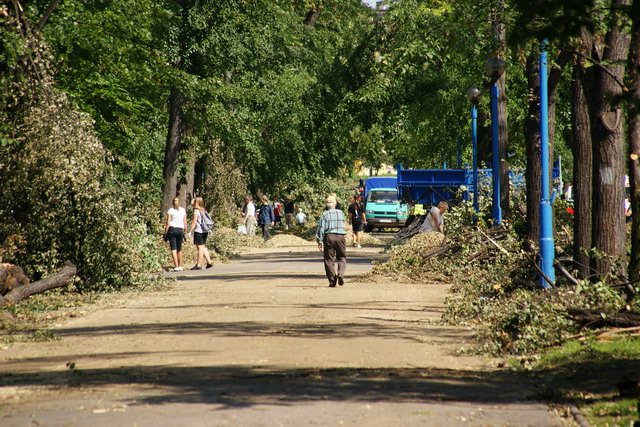 Czyn społeczny w Parku