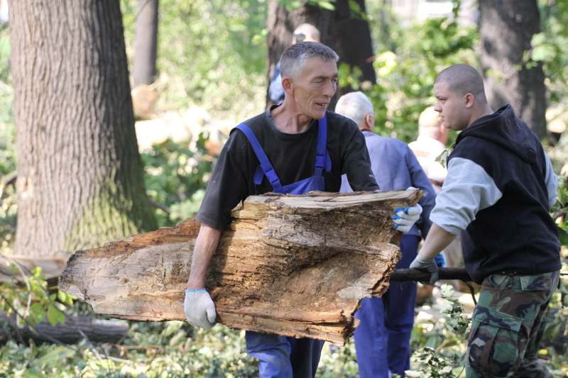 Pospolite ruszenie w legnickim parku