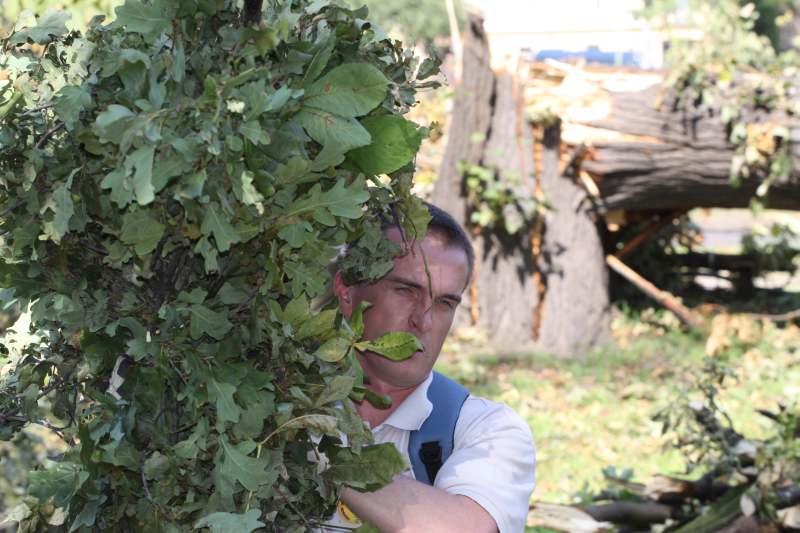 Pospolite ruszenie w legnickim parku