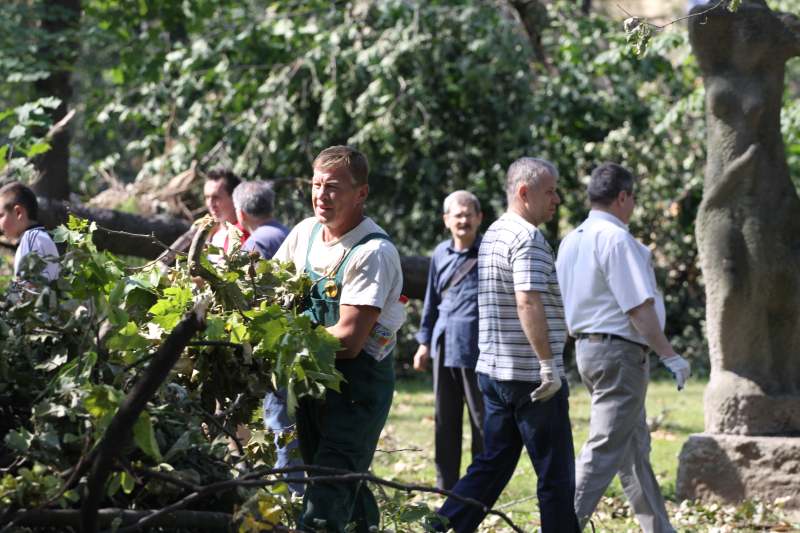 Pospolite ruszenie w legnickim parku