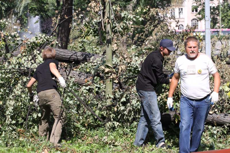 Pospolite ruszenie w legnickim parku