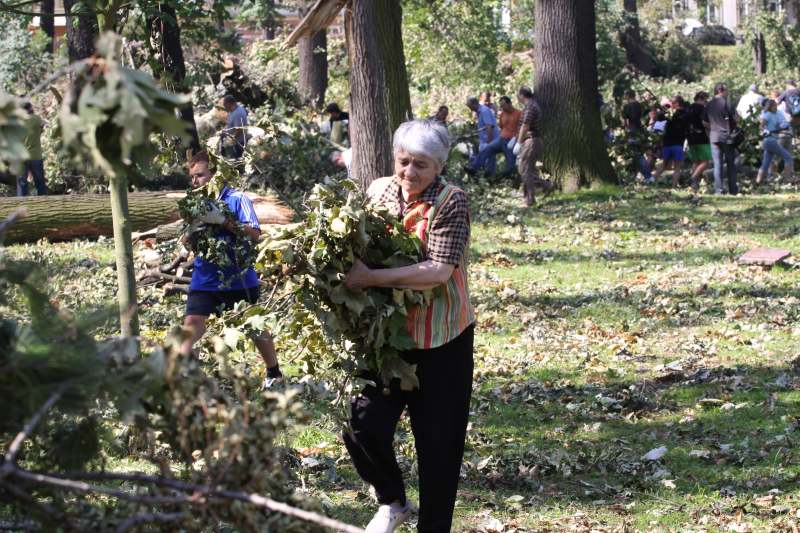 Pospolite ruszenie w legnickim parku