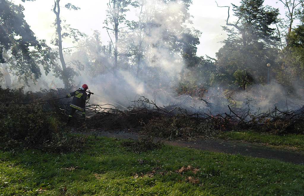 Podpalenia w parku