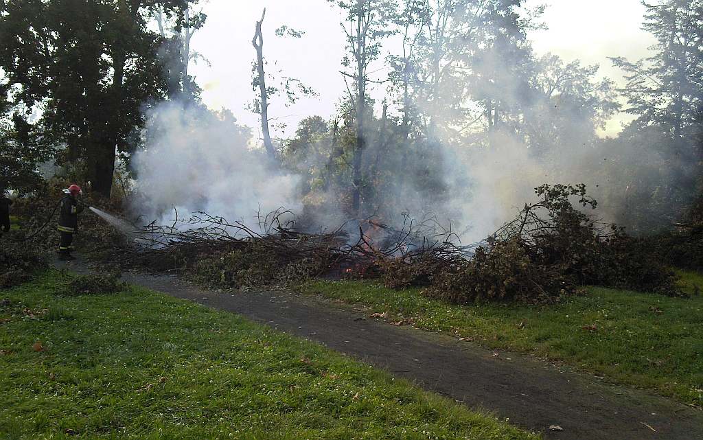 Podpalenia w parku