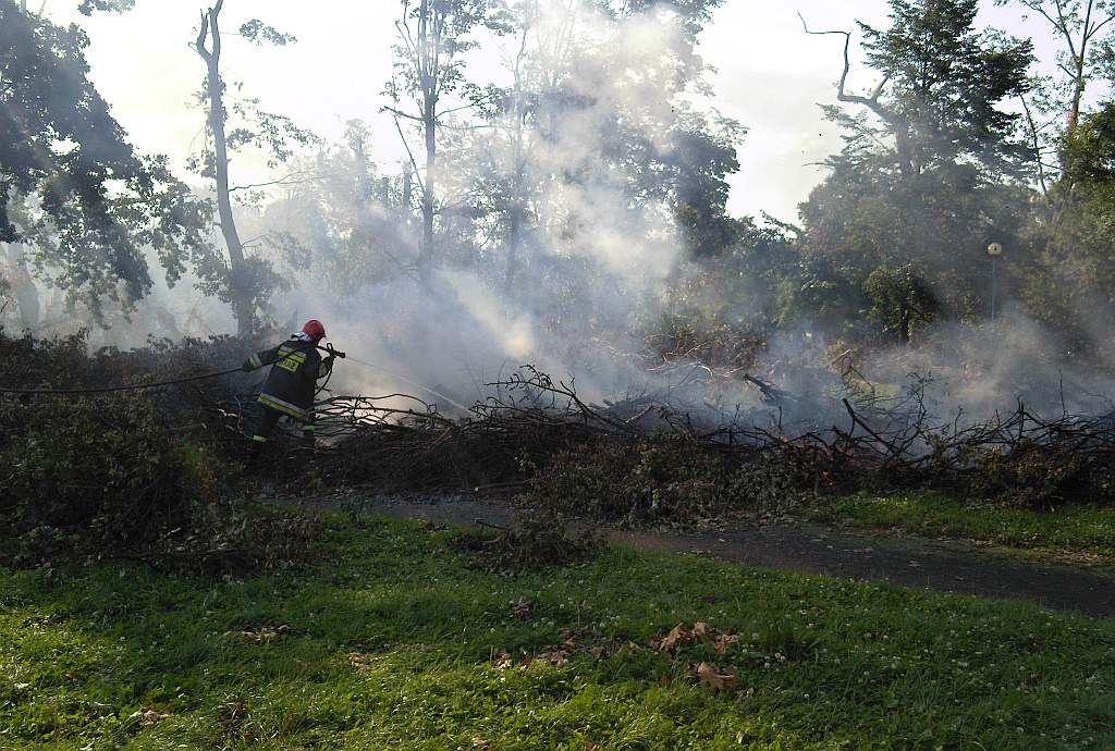 Podpalenia w parku
