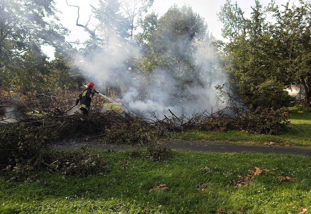 Podpalenia w parku