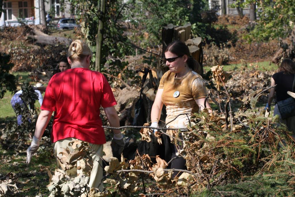 Sprzątamy park