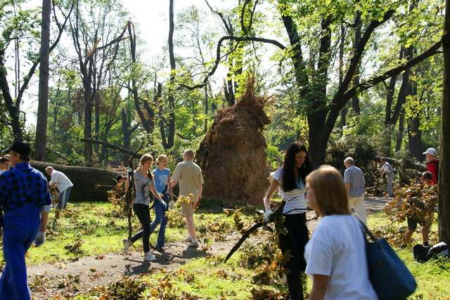 Sprzątanie parku