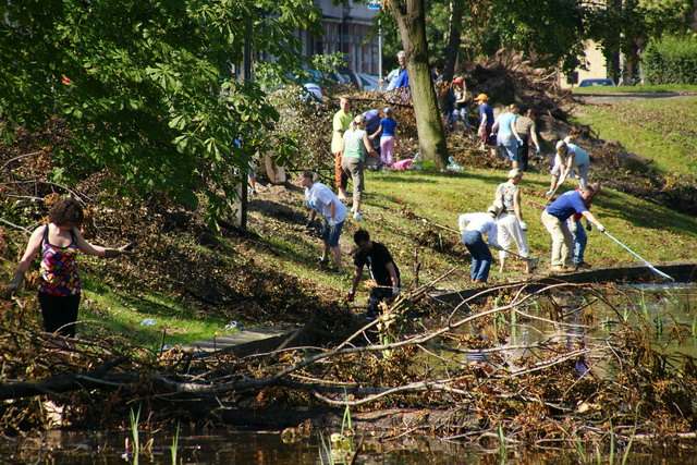 Sprzątanie parku
