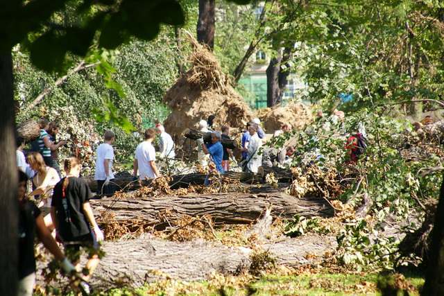 Sprzątanie parku