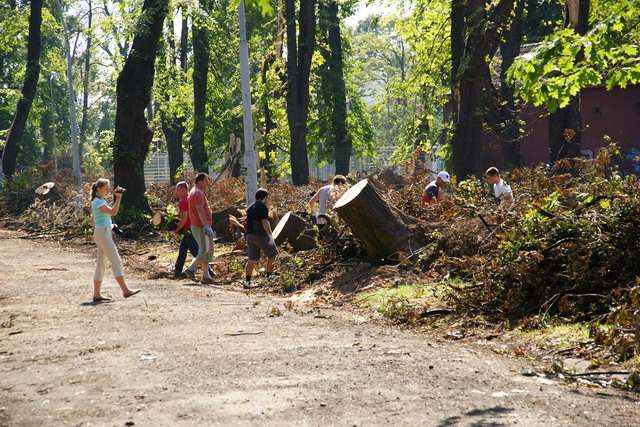 Sprzątanie parku
