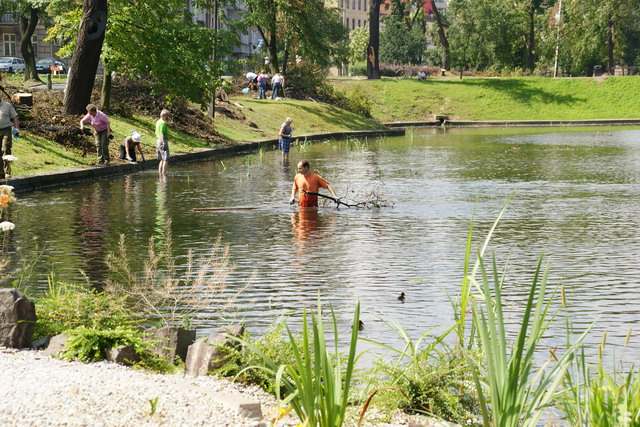 Sprzątanie parku