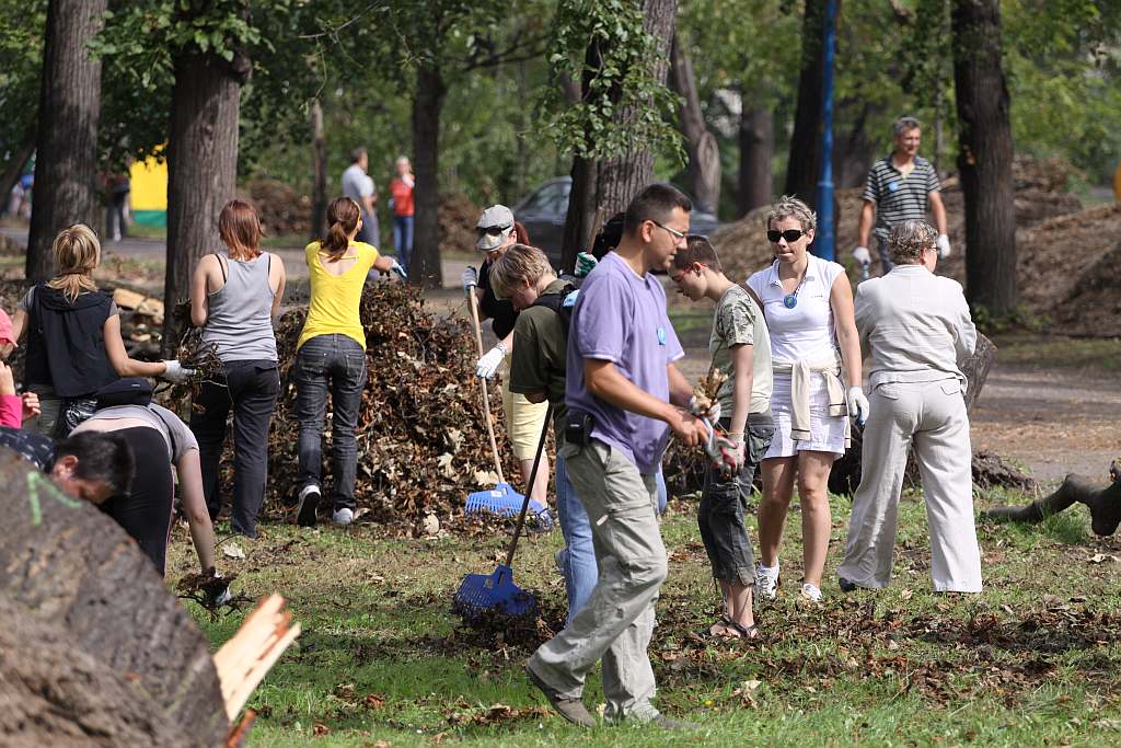 Kolejny czyn w parku