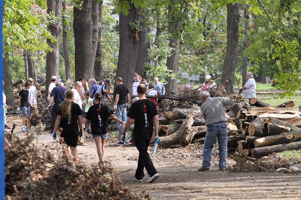 Kolejny czyn w parku