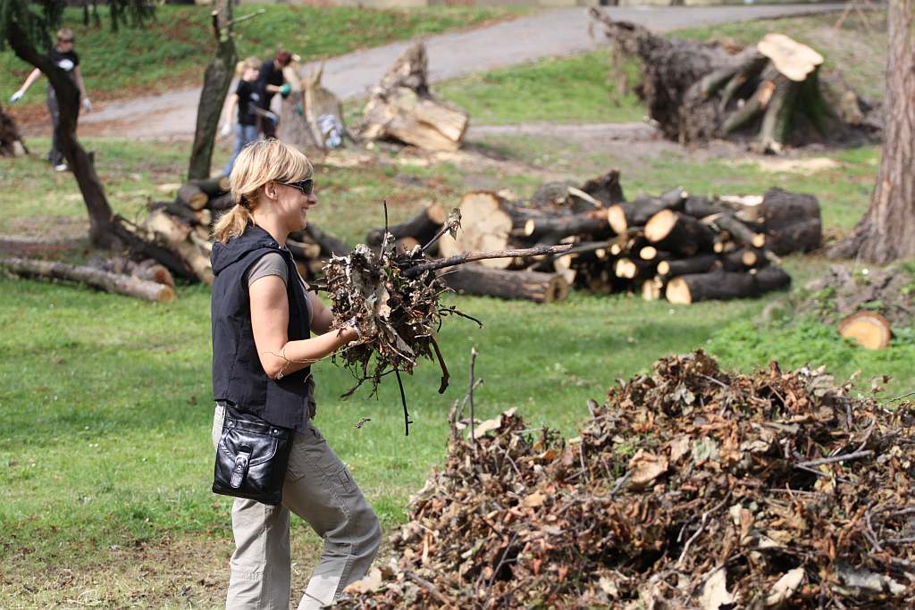 Kolejny czyn w parku