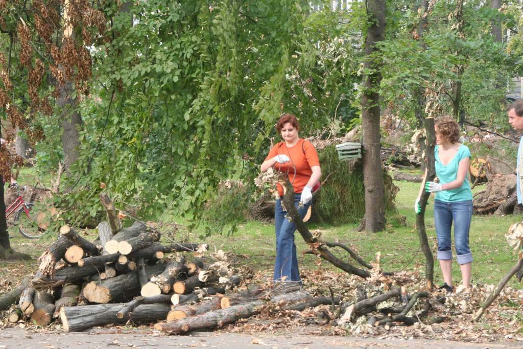 Czyn społeczny w parku