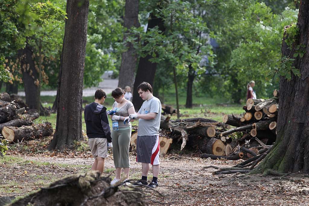 Kolejny czyn w parku