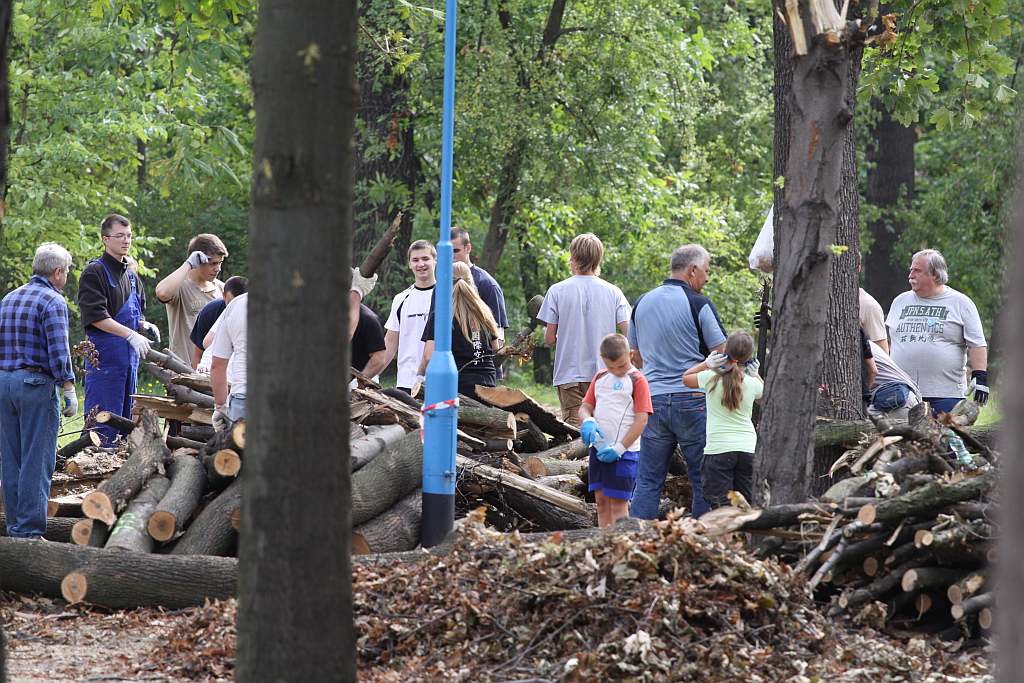 Kolejny czyn w parku