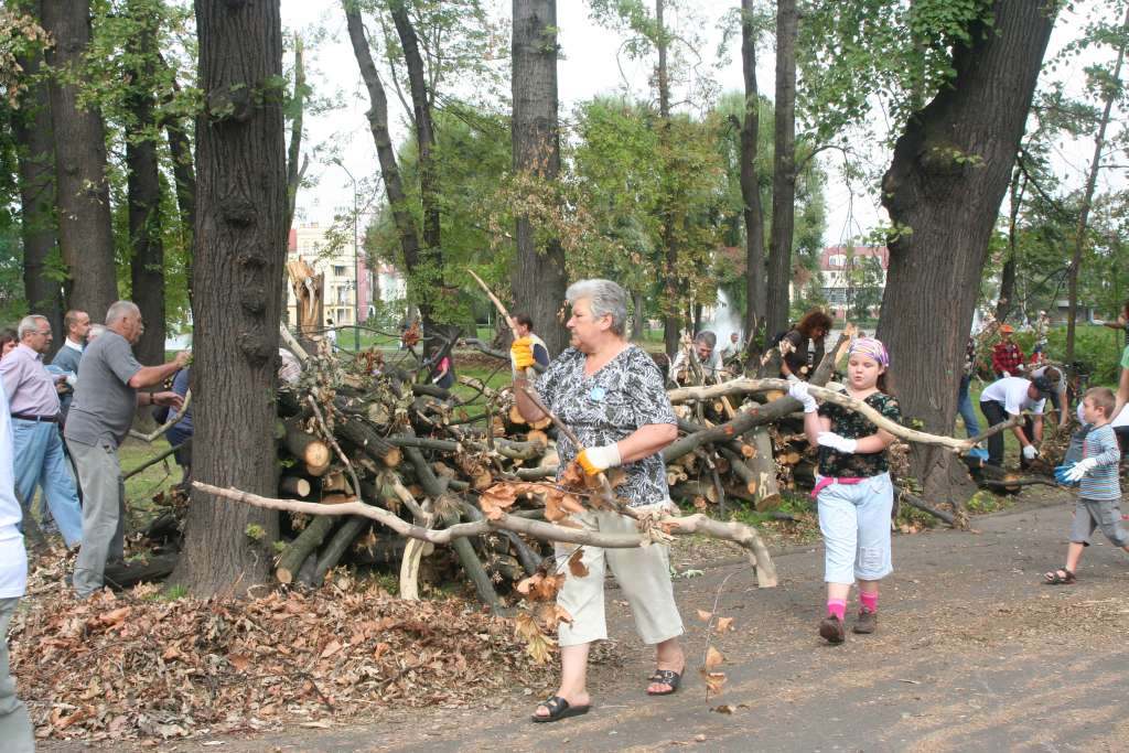Czyn społeczny w parku