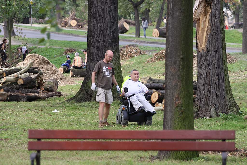 Kolejny czyn w parku