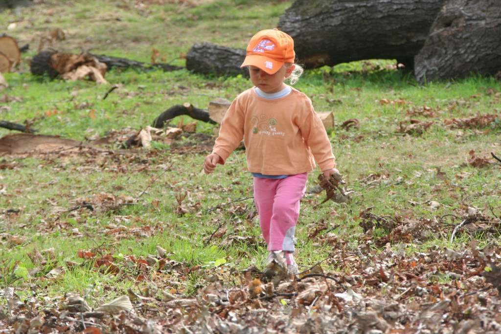 Czyn społeczny w parku