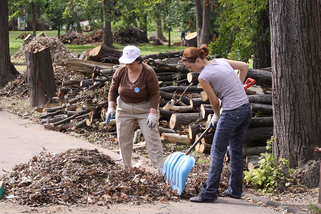 Kolejny czyn w parku