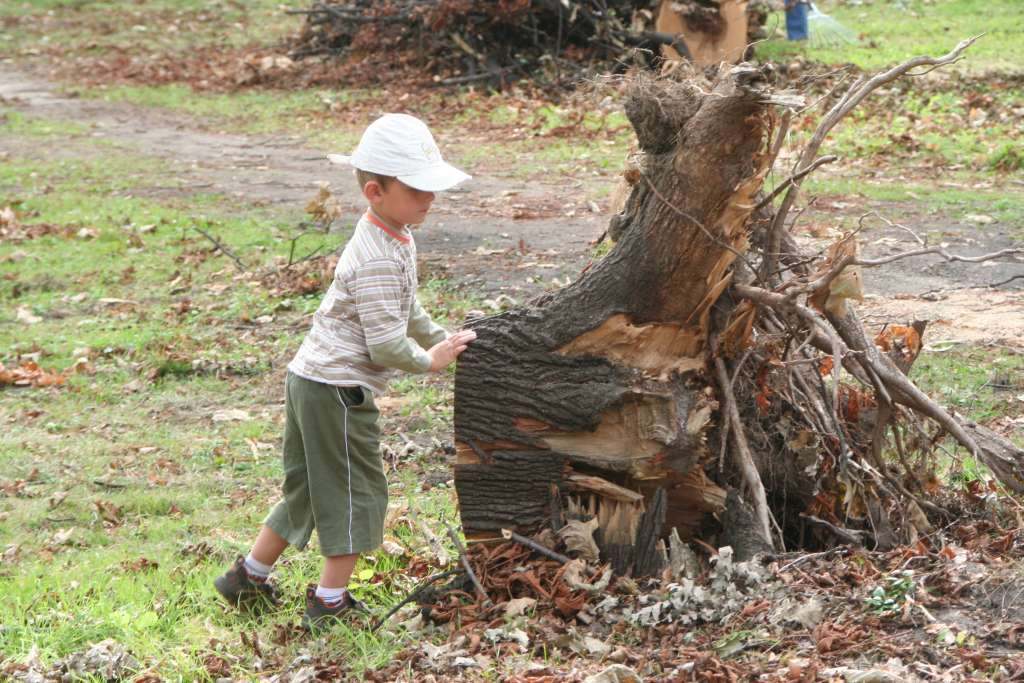 Czyn społeczny w parku