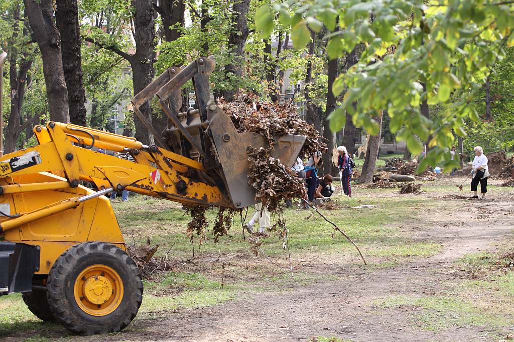 Kolejny czyn w parku